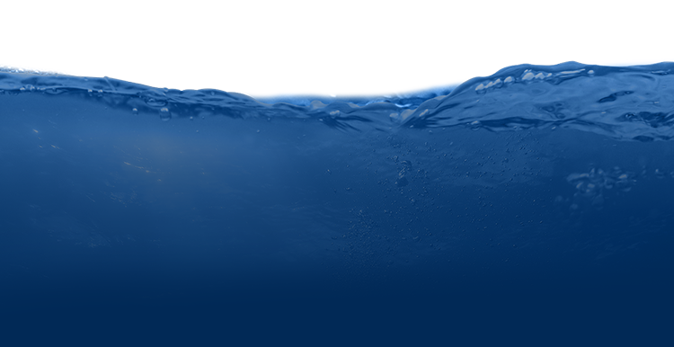 Hangzhou SECK Intelligent Technology Co.,Ltd